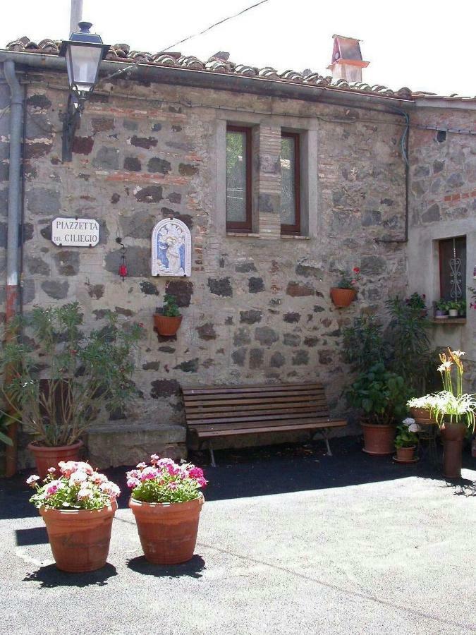拉迪科法尼Casa Del Ciliegio别墅 外观 照片